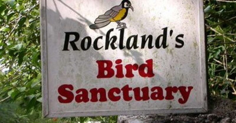Rocklands Bird Sanctuary: 2-Hour Montego Bay Tour - Tour Overview and Details