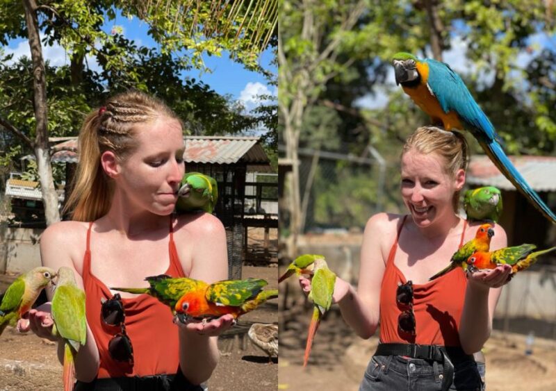 Rocklands Bird Sanctuary & Bird Farm With Private Transport - Pricing and Booking