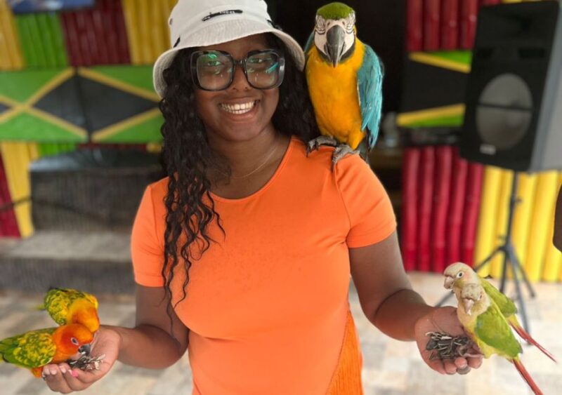 Rocklands Bird Sanctuary & Bird Farm With Private Transport - Transportation Included