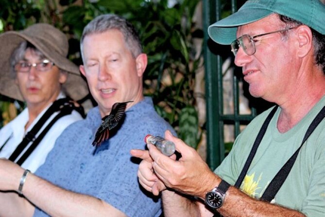 Rocklands Bird Sanctuary & City Highlights Plus Shopping From Grand Palladium - Accessibility and Participation
