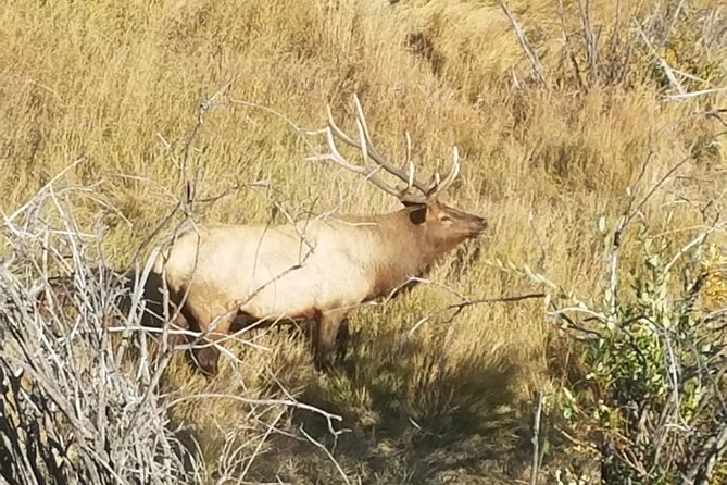 Rocky Mountain National Park and Estes Park Tour From Denver Winter and Spring - Additional Information