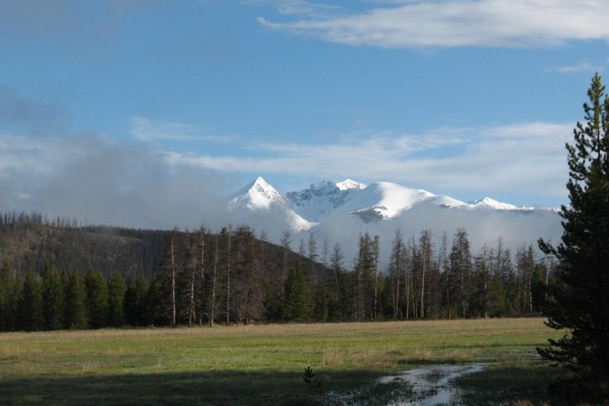 Rocky Mountain National Park Guided Tours From Grand Lake - Key Points