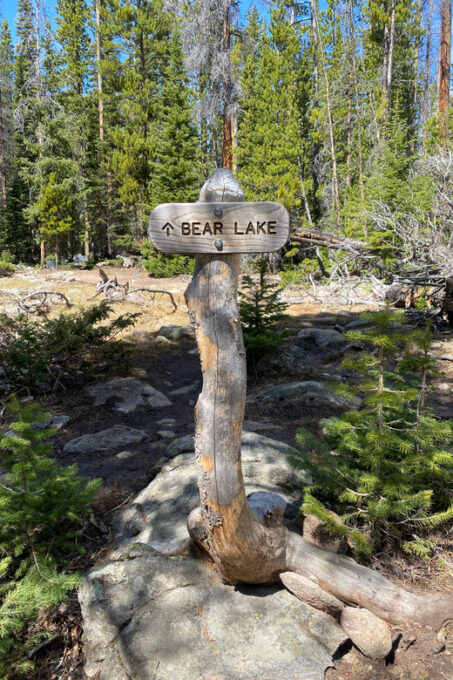Rocky Mountain National Park Half Day Hike - Frequently Asked Questions