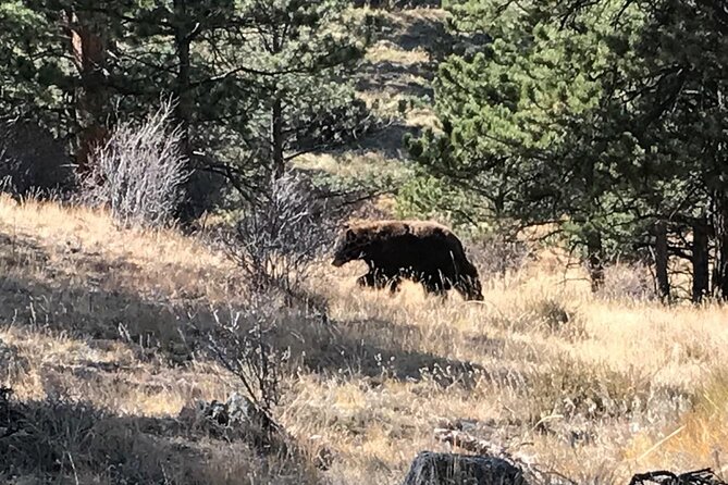 Rocky Mountain National Park in Summer Tour From Denver - Charming Resort Town