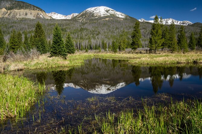 Rocky Mountain National Park Self-Guided Driving Audio Tour - Tour Highlights and Features