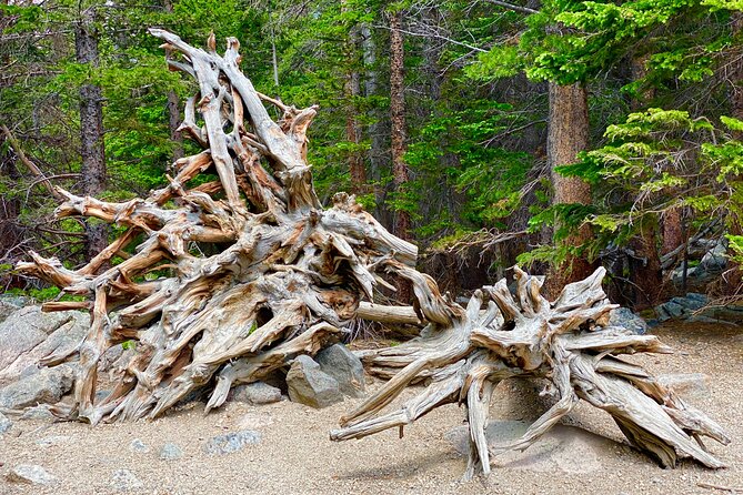 Rocky Mountain National Park Tour From Denver - Reviews