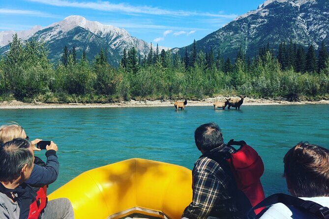 Rocky mountain - VIP Experience - Private Boat - The Sum Up