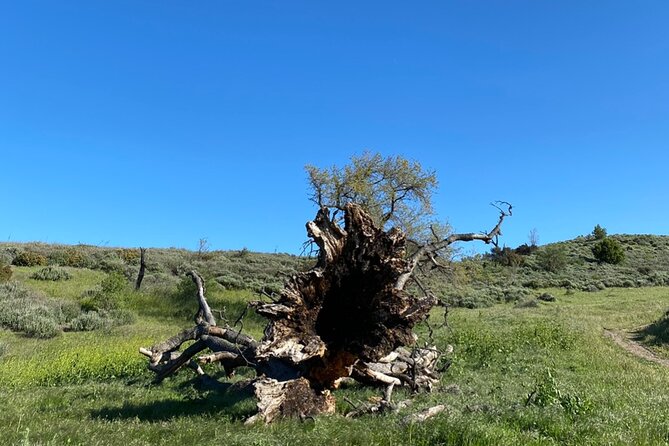 Rocky Peak Electric Mountain Biking Tour (Beginner) - Recommended Packing List