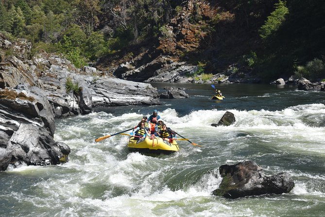 Rogue River Multi-Day Rafting Trip - Group Size and Restrictions