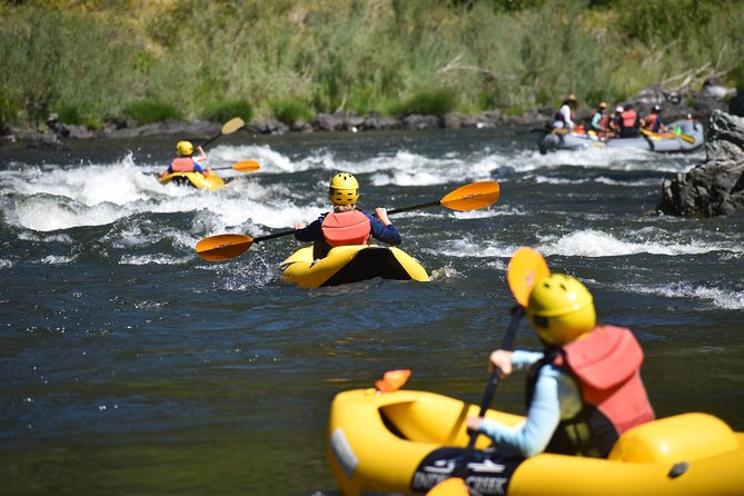 Rogue River Multi-Day Rafting Trip - Previous Traveler Reviews