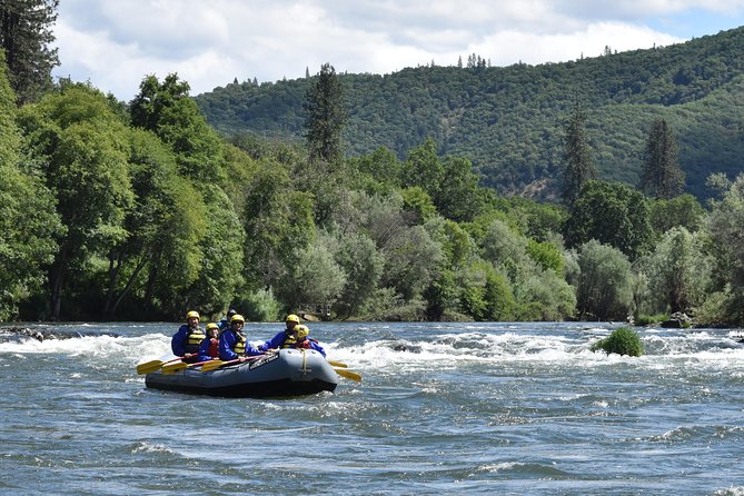 Rogue Valley Rapid Run - Guided Expertise and Safety-Focused Rafting Trips