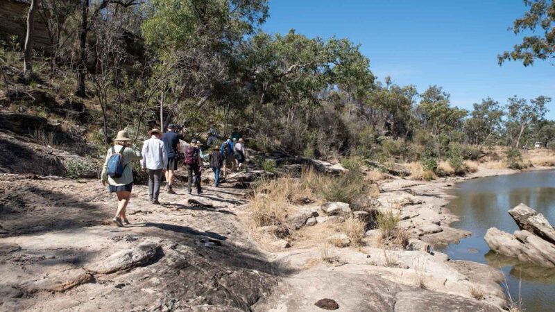 Roma: Lost World Carnarvons and Wallaroo Day Tour - Key Points