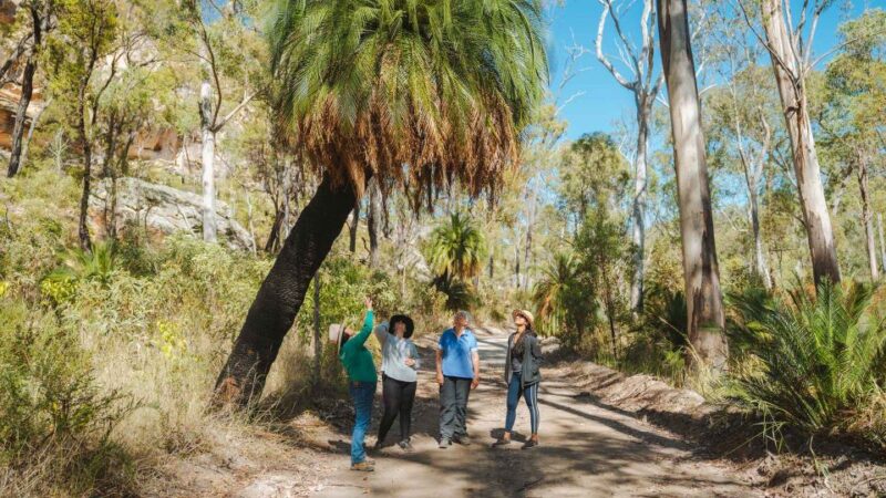 Roma: Lost World Carnarvons and Wallaroo Day Tour - Cultural and Environmental Insights
