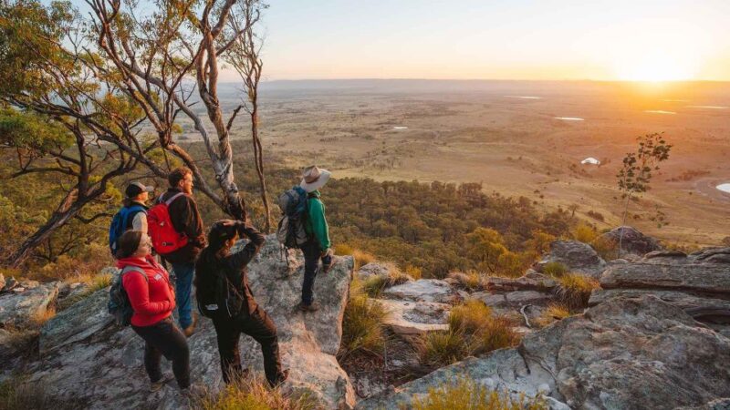 Roma: Lost World Carnarvons and Wallaroo Day Tour - Important Information and Recommendations