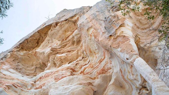 Roma: Lost World Carnarvons and Wallaroo Day Tour - Tour Duration and Availability