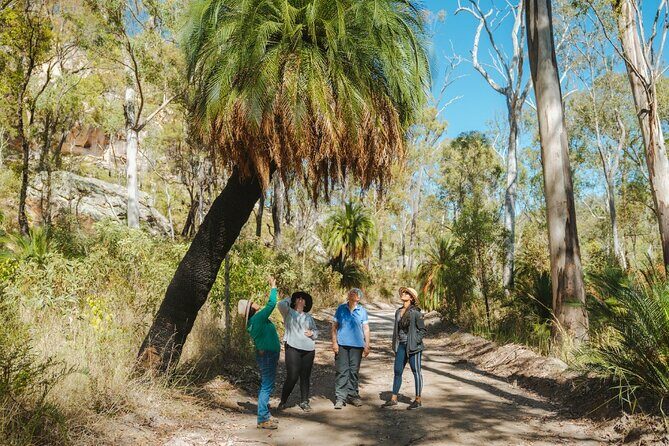 Roma: Lost World Carnarvons (Wallaroo) Day Tour - Key Points