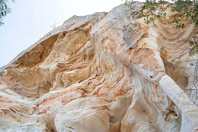 Roma: Lost World Carnarvons (Wallaroo) Day Tour - Who Will Love This Tour?