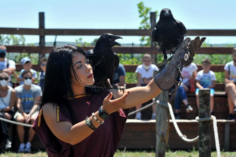 Roma World: the Park to Live a Day as an Ancient Roman - Key Points