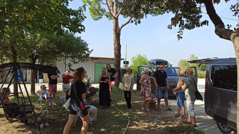Romagna: Wine Tour With the Winemaker - Experience the Beauty of Faenza