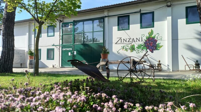 Romagna: Wine Tour With the Winemaker - Discovering the Zinzani Cellar