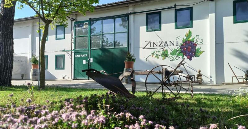 Romagna: Wine Tour With the Winemaker - A Unique Wine Tasting Experience