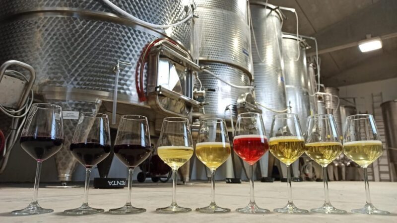 Romagna: Wine Tour With the Winemaker - Indulging in Local Culinary Delights