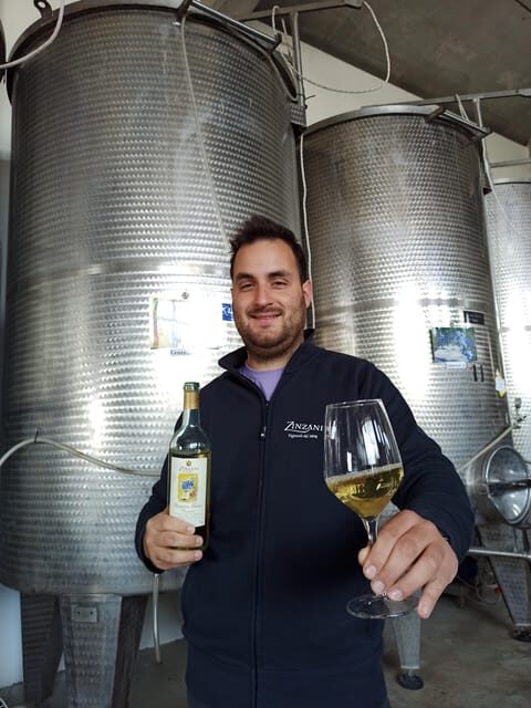 Romagna: Wine Tour With the Winemaker - An Educational Journey in Winemaking
