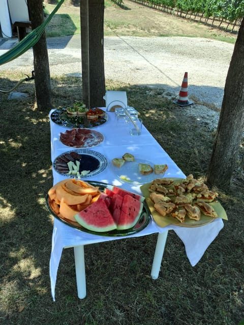 Romagna: Wine Tour With the Winemaker - Accessibility and Group Options