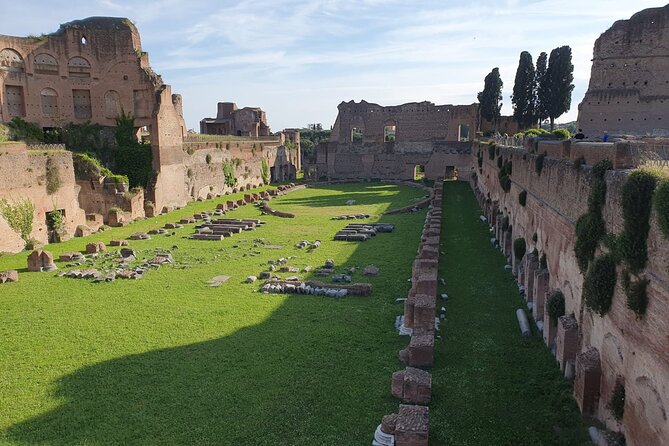 Roman Forum and Palatine Hill Access - Traveler Reviews and Feedback