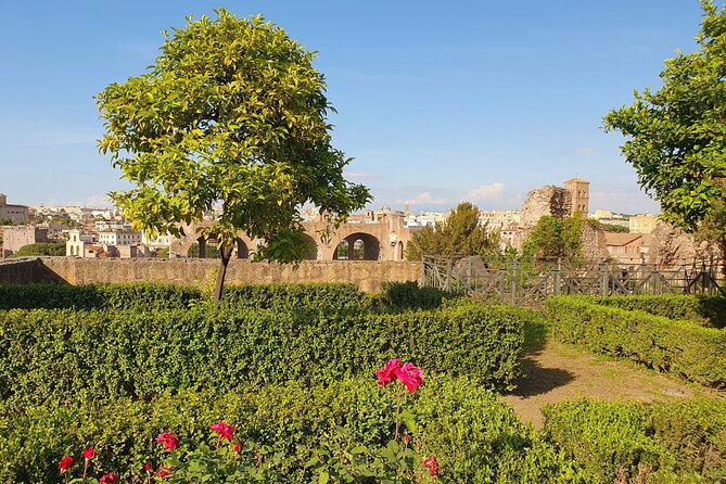 Roman Forum and Palatine Hill Access - Overcoming Common Challenges