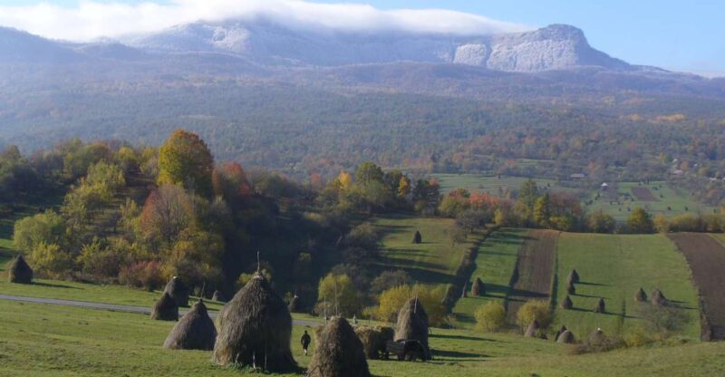 Romania: Private 12 Days Tour With Bed and Breakfast - Key Points