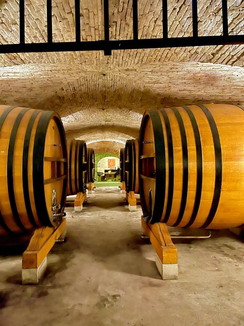 Romans and Wine - Grape Varieties Explored