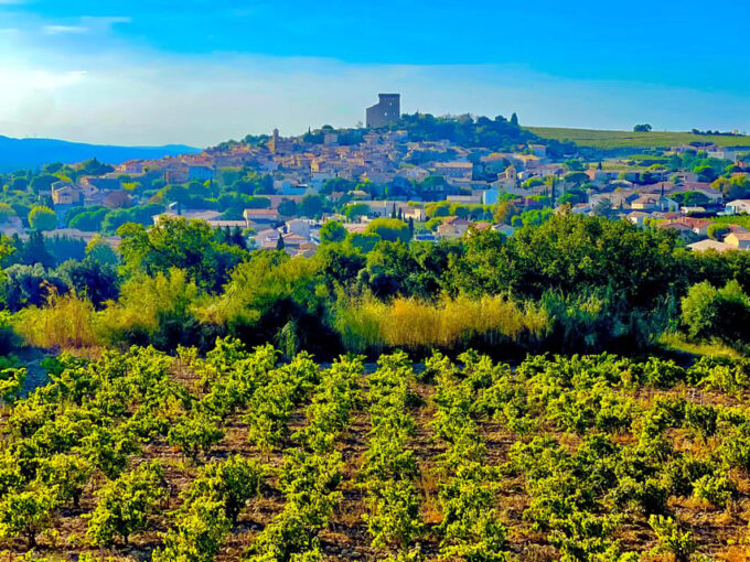 Romans and Wine - Tasting Techniques Learned