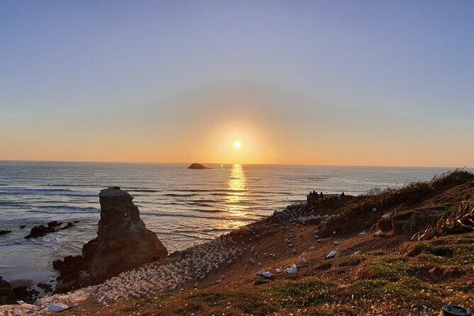 Romantic Auckland Sunset tour with Winery & Thermal pool - Key Points