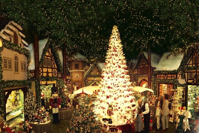 Romantic Christmas Moments in Rothenburg Ob Der Tauber & Würzburg - Accessibility and Participation