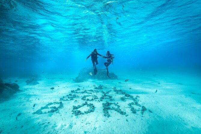 Romantic dive in the lagoon of Bora Bora. Private instructor on a shared boat - Key Points