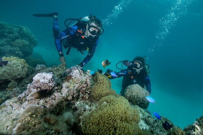Romantic dive in the lagoon of Bora Bora. Private instructor on a shared boat - Analyzing the Value: Price and What You Get