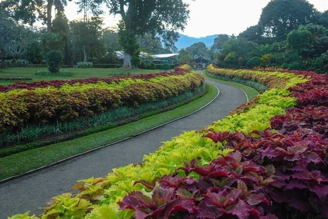 Romantic Escape - Tour Inclusions