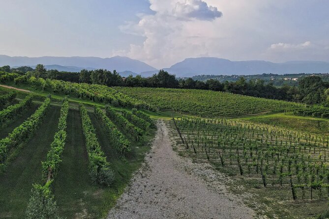 Romantic Evening Tasting With the Best Prosecco - Reviews and Pricing