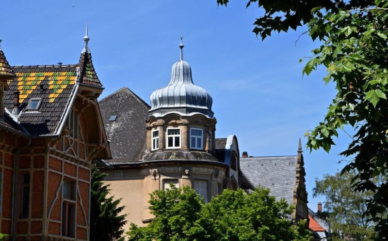 Romantic Heidelberg: Private Tour With Professional Guide - Local Insights