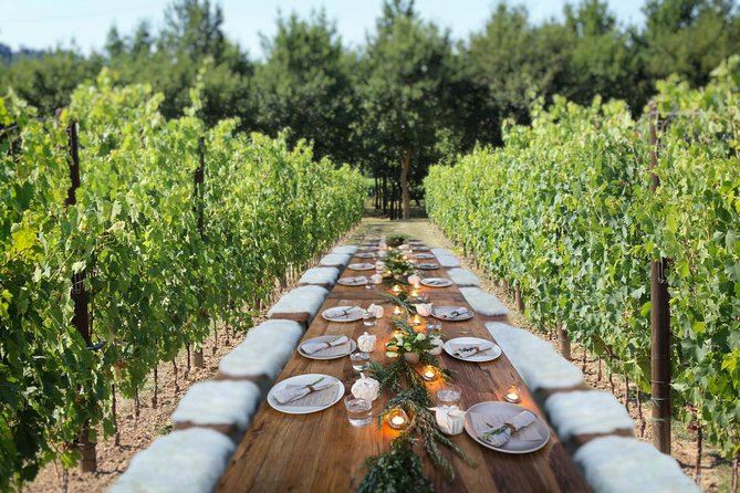 Romantic Lunch in the Vine Rows in Tuscany - Accessibility and Additional Info