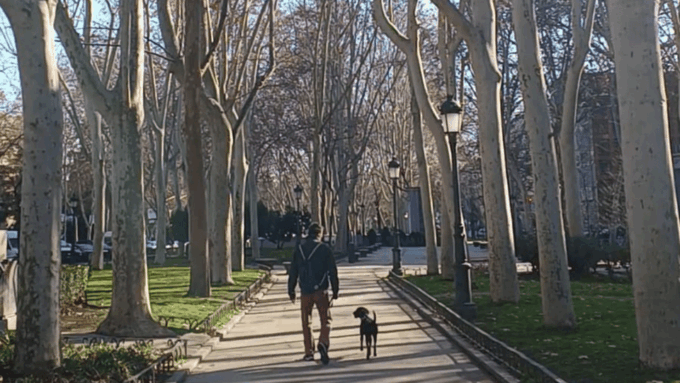 Romantic Madrid in the 19TH Century - The Contrasts Between Romantic Madrid and the Madrid of the Austrias and Bourbons
