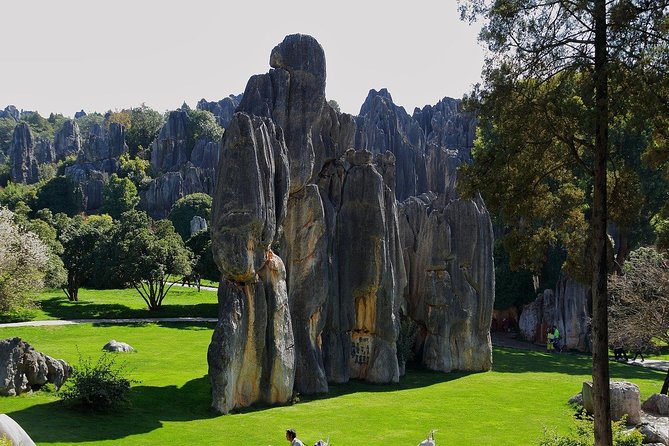 Romantic Tour in Kunming Review - Key Points