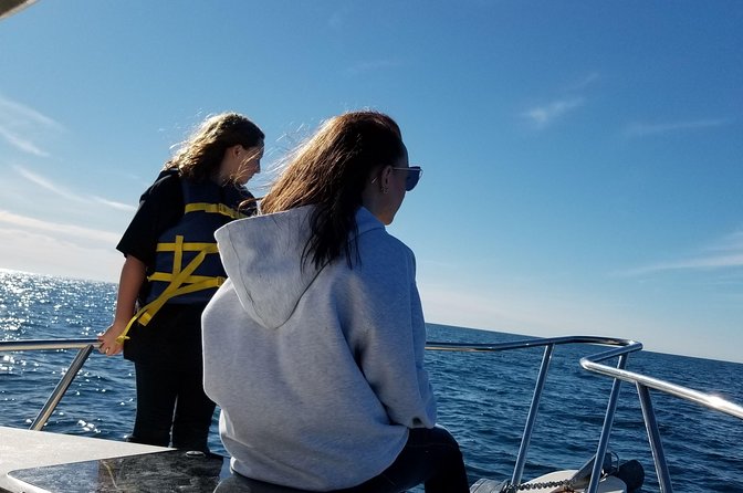 Romantic Wine and Cheese Boat Tower Cruise - Cruise Details