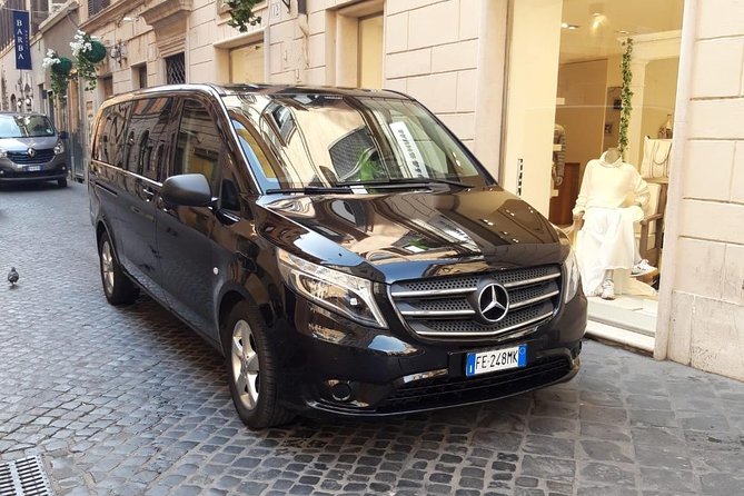 Rome Airport Transfer - ONE WAY - Accessibility and Requirements