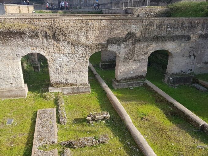 Rome: Ancient Rome and Colosseum Private Half-Day Tour - Customer Reviews