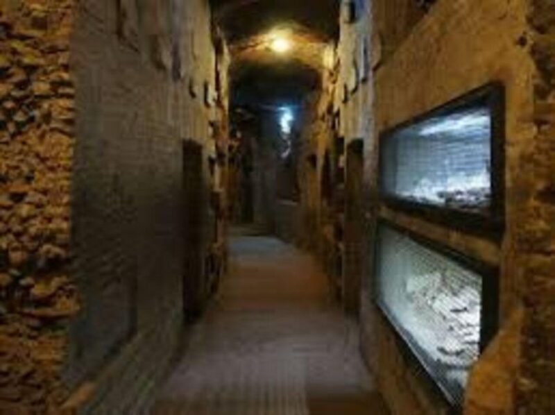 Rome: Appian Catacombs Tour With Transfere - What to Expect on the Tour