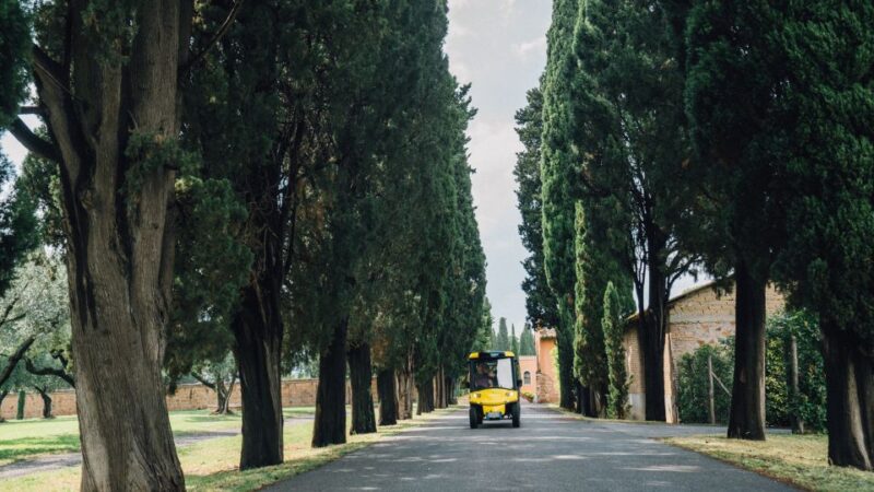 Rome: Appian Way Golf Cart Tour With Roman Catacombs Entry - Inclusions and Exclusions
