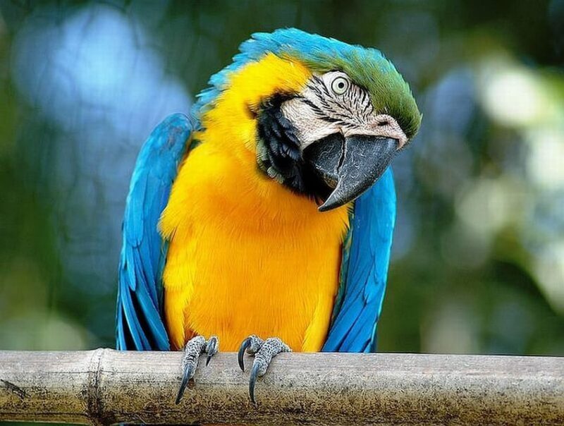 Rome: Bioparco Di Roma Zoological Garden Entry Ticket - Notable Exhibits to Visit