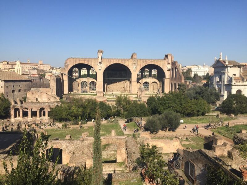 Rome: Colosseum, Palatine Hill and Roman Forum Guided Tour - Meeting Point and Requirements